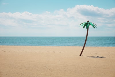 绿色的人造棕榈树在海滨上
